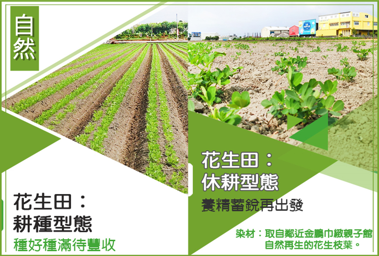金鵬棉織毛巾,植物染毛巾,100%mit毛巾,