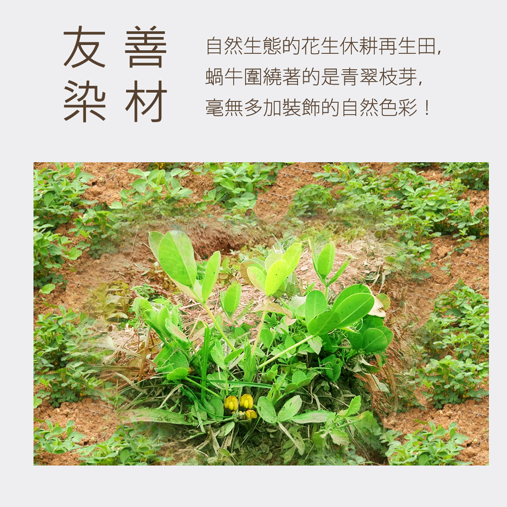 金鵬棉織毛巾,植物染毛巾,台灣製造,MIT毛巾,台灣木染-環保植物染浴巾-好事花生巾