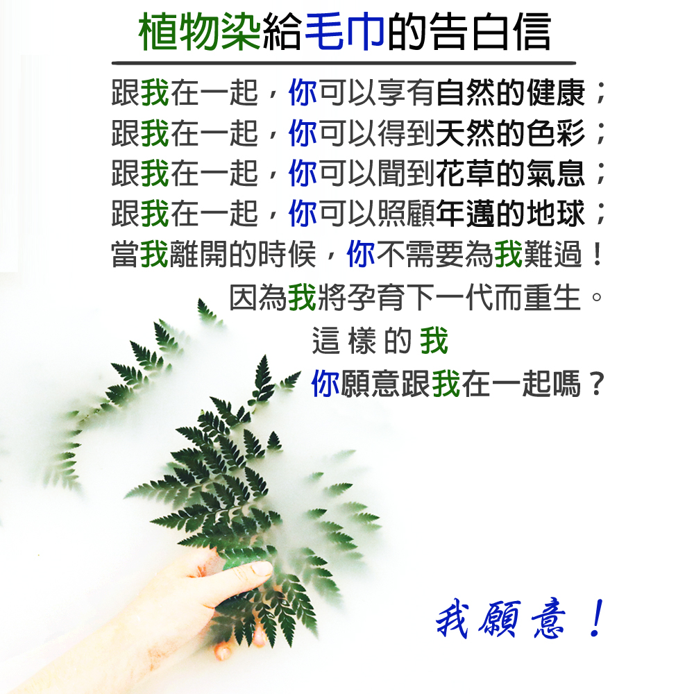 金鵬棉織毛巾,植物染毛巾,植物染寫給毛巾的一封信